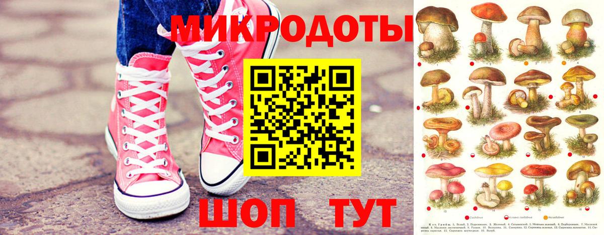 Псилоцибиновые грибы Psilocybine cubensis  Псилоцибиновые грибы ЛСД  Вход с VPN  Гусиноозёрск 